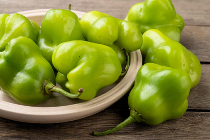 50 Sambuchi Pepper (Capsicum Baccatum) Seeds
