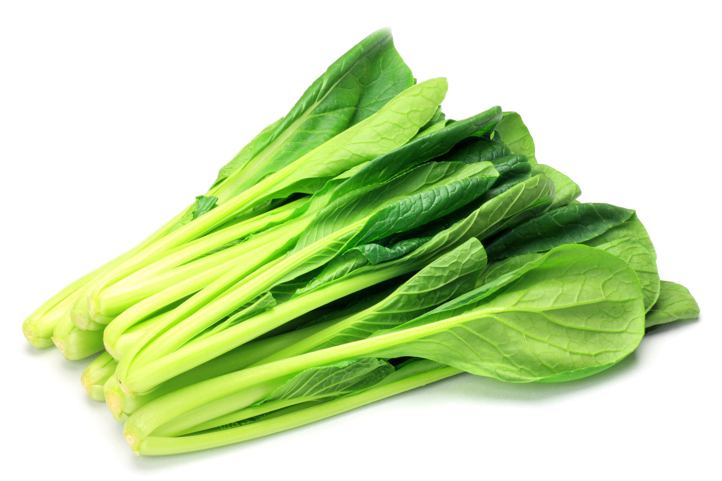1500 Spinach Mustard Tendergreen (Brassica Rapa) Seeds