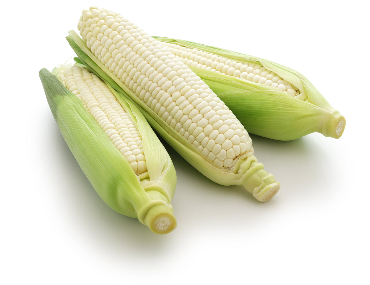 Country Gentleman White Sweet Corn (Zea mays) Seeds – 100 ct