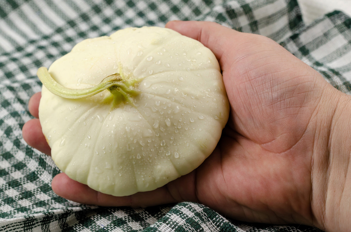 50 Patty Pan Squash (Cucurbita Pepo) Seeds
