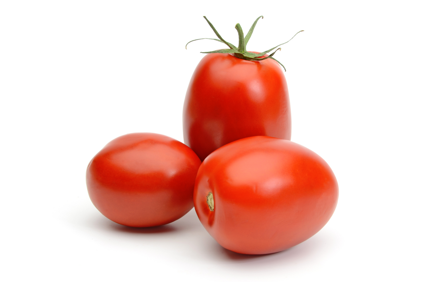 50 Amish Paste Tomato (Lycopersicon) Seeds