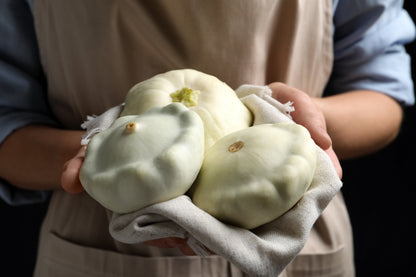 50 Patty Pan Squash (Cucurbita Pepo) Seeds