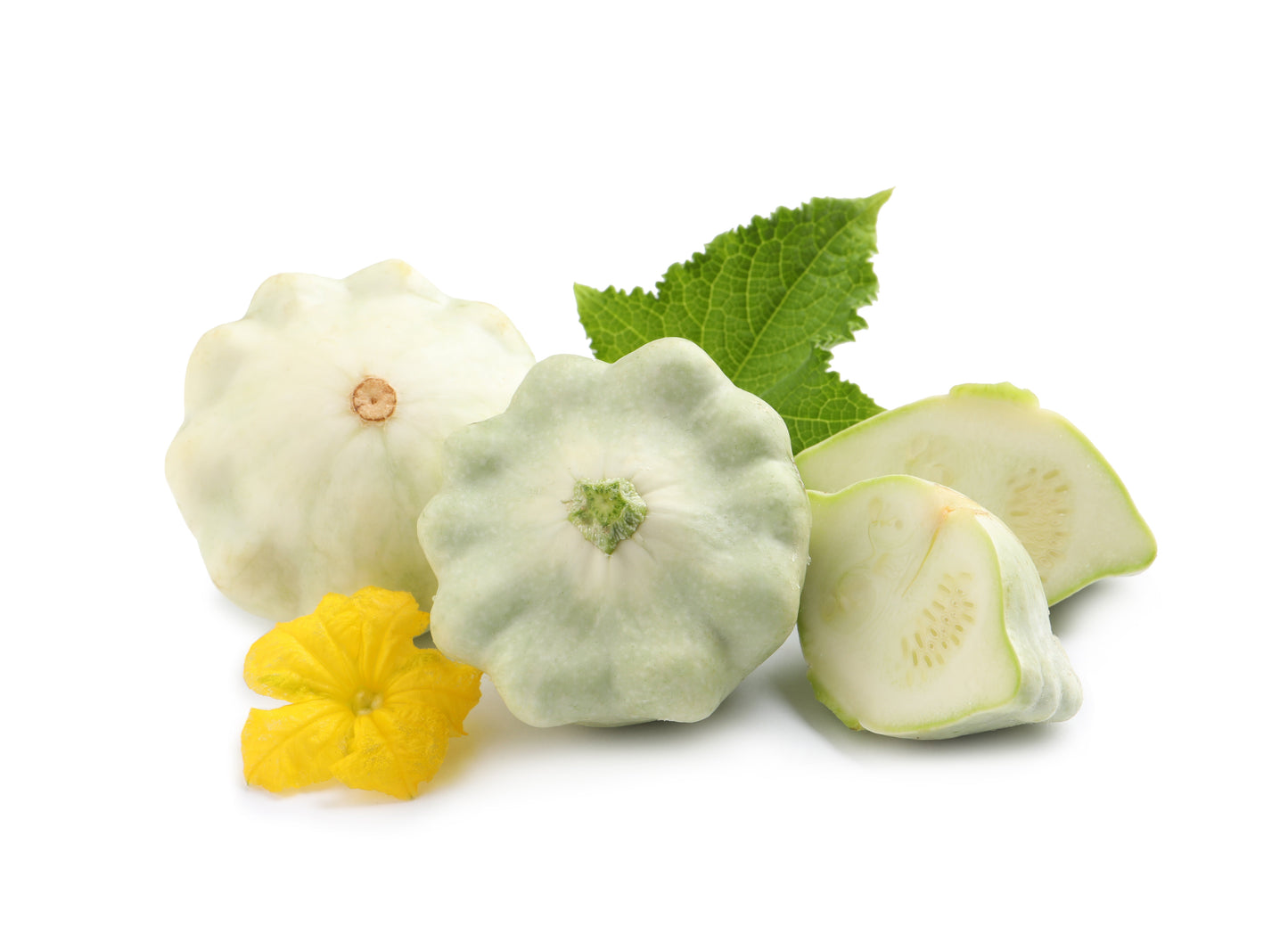 50 Patty Pan Squash (Cucurbita Pepo) Seeds
