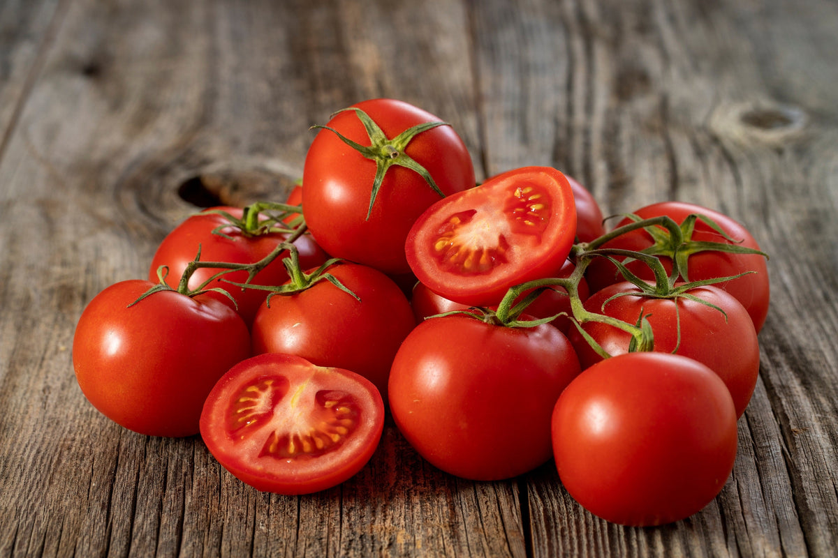 Tiny Tim Dwarf Cherry Tomato (Solanum lycopersicum) Seeds – 500 ct