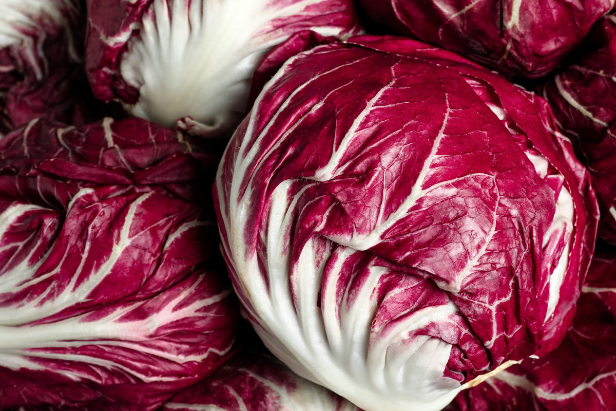 100 Rossa di Verona Radicchio / Endive (Cichorium Intybus) Seeds
