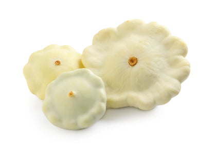 50 Patty Pan Squash (Cucurbita Pepo) Seeds