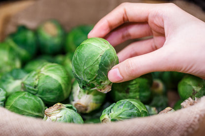 500 Heirloom Brussels Sprouts (Brassica Oleracea) Seeds