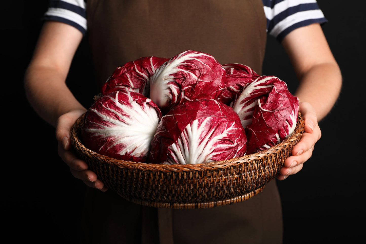 100 Rossa di Verona Radicchio / Endive (Cichorium Intybus) Seeds