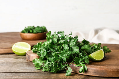 250 LEISURE CILANTRO / CORIANDER Coriandrum Sativum Herb Vegetable Seeds