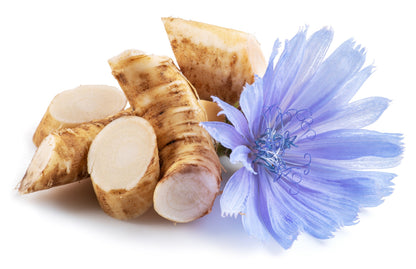 1000 Chicory (Chicorium Cicorium Intybus) Seeds