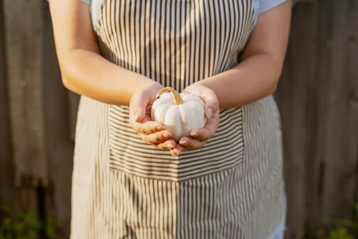 15 WHITE Baby Boo MINI PUMPKIN Miniature Cucurbita Pepo Vegetable Seeds