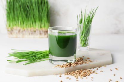 500 Cat Grass/Wheat Grass (Triticum Aestivum) Seeds