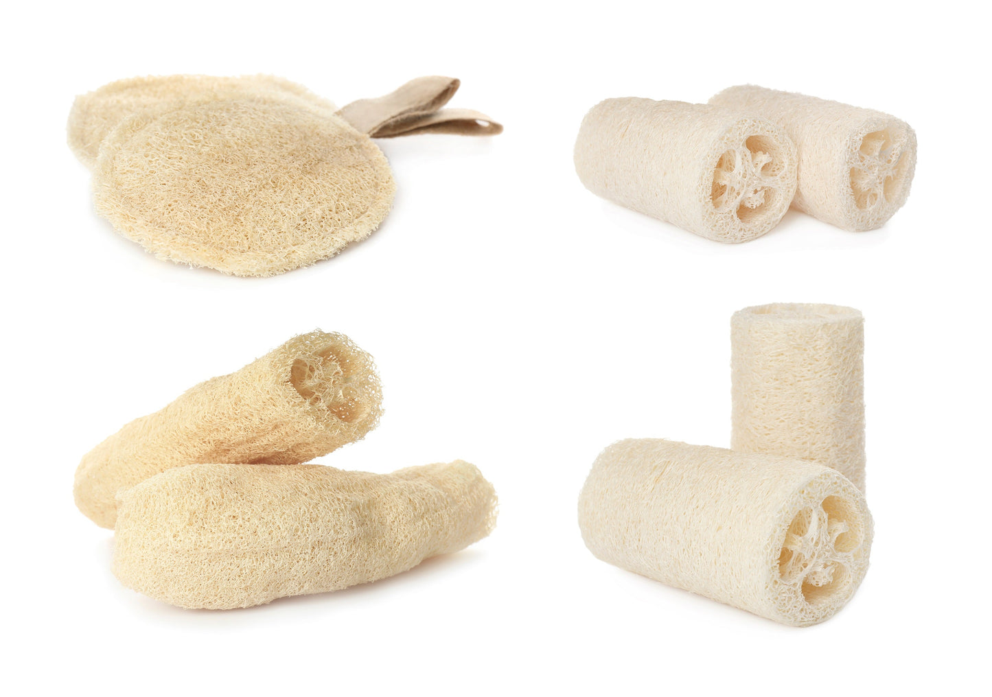 25 Luffa Sponge Gourd (Luffa Cylindrica) Seeds