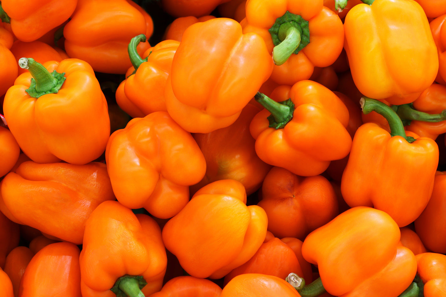 50 Orange Sun Bell Pepper (Capsicum Annuum) Seeds