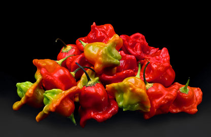 50 Sambuchi Pepper (Capsicum Baccatum) Seeds