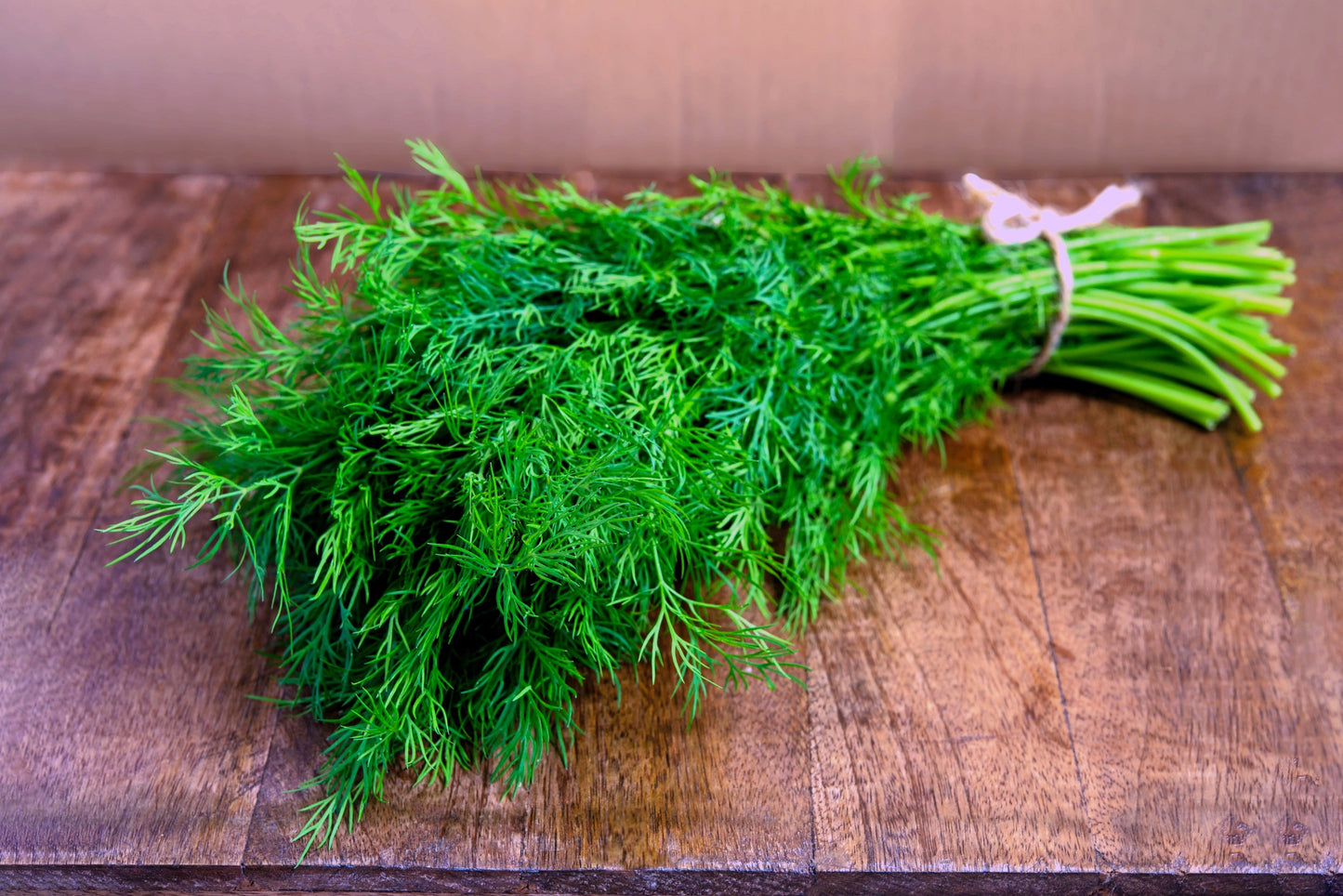 2500 Bouquet Dill (Anethum Graveolens) Seeds