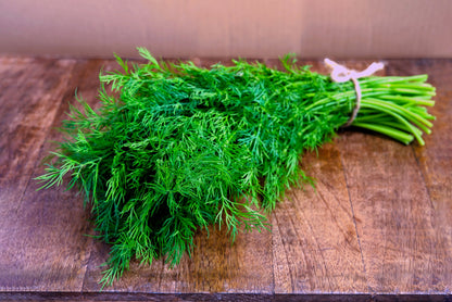 2500 Bouquet Dill (Anethum Graveolens) Seeds