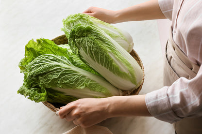 Michihili Chinese Cabbage (Brassica rapa var. pekinensis) Seeds – 500 ct