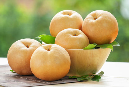 Asian Pear (Pyrus pyrifolia) Seeds – 20 ct