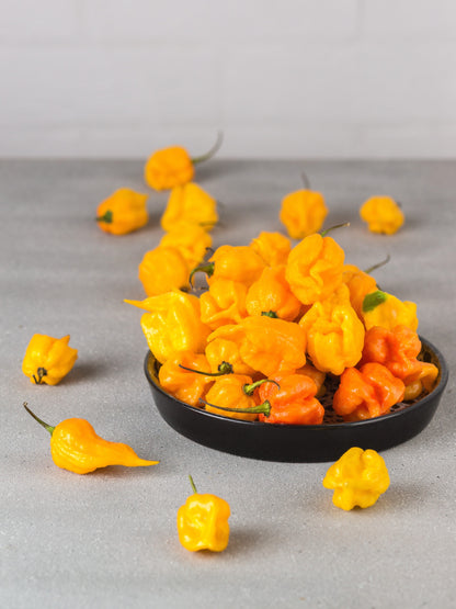 Yellow Carolina Reaper Pepper (Capsicum chinense) Seeds – 10 ct