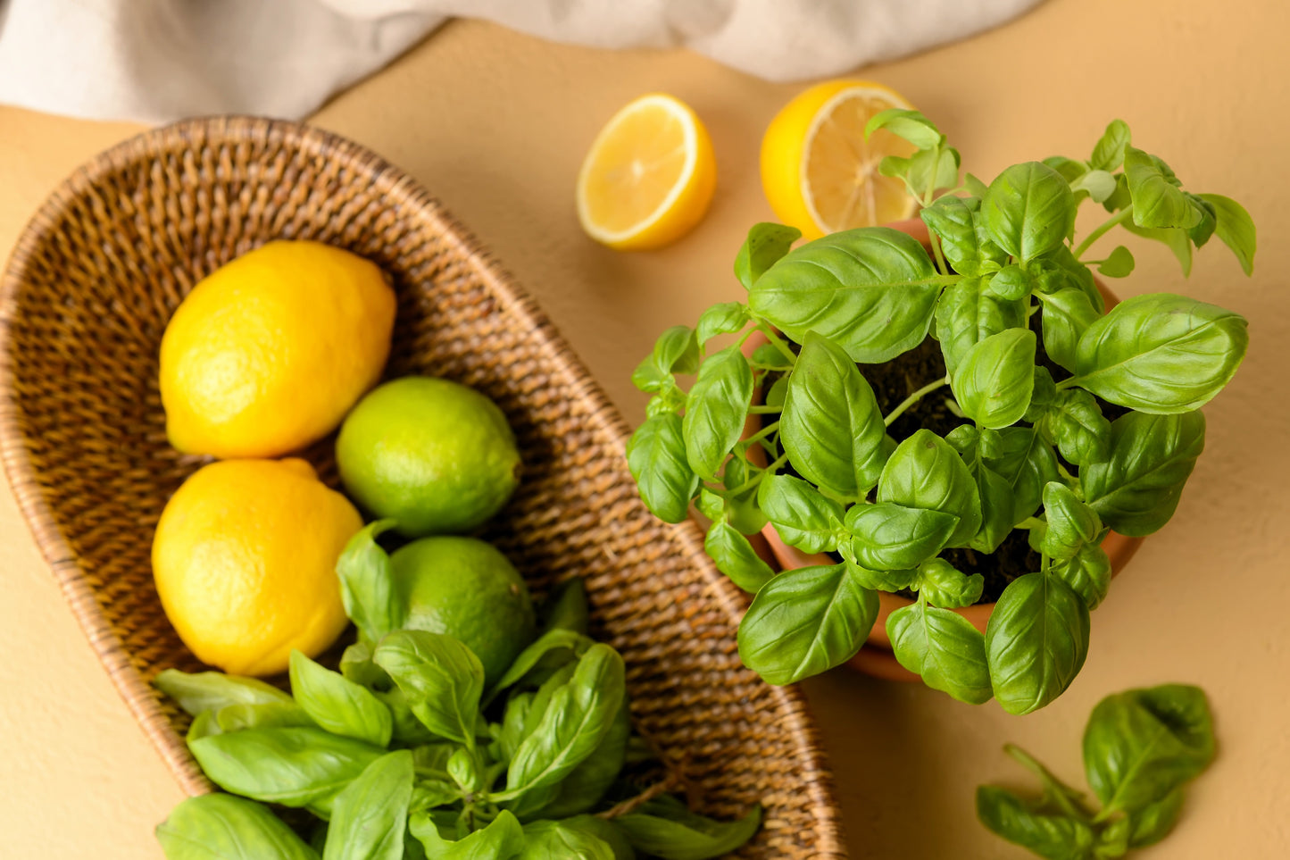 150 Lime Basil (Ocimum Basilicum) Seeds
