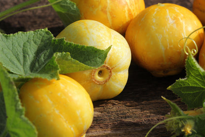 100 LEMON CUCUMBER Cucumis Sativus Fruit Vegetable Seeds
