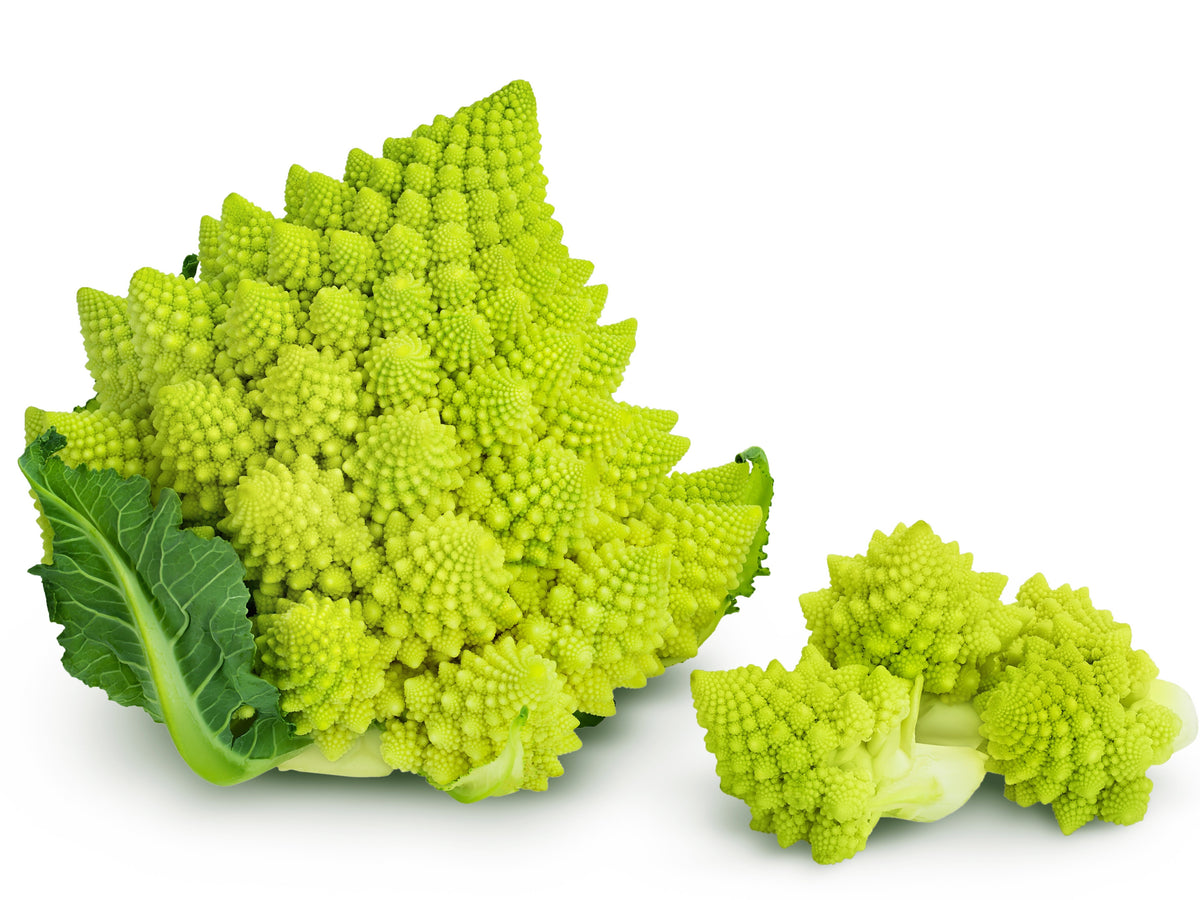 500 ROMANESCO BROCCOLI Broccoflower Roman Cauliflower Pyramid Broccolo Brassica Oleracea Vegetable Seeds