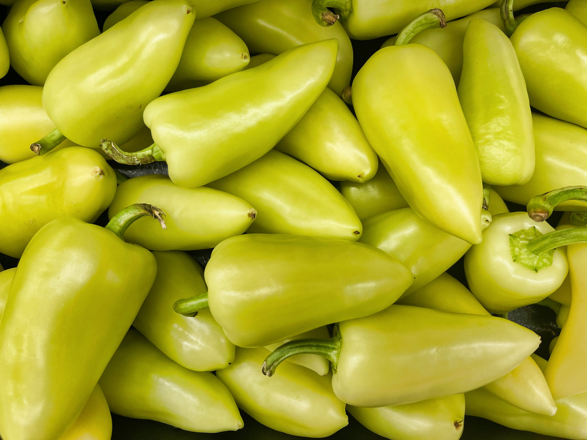 200 SANTA Fe GRANDE PEPPER (Guero Chili Pepper / Yellow Hot Chili Pepper) Capsicum Annuum Vegetable Seeds