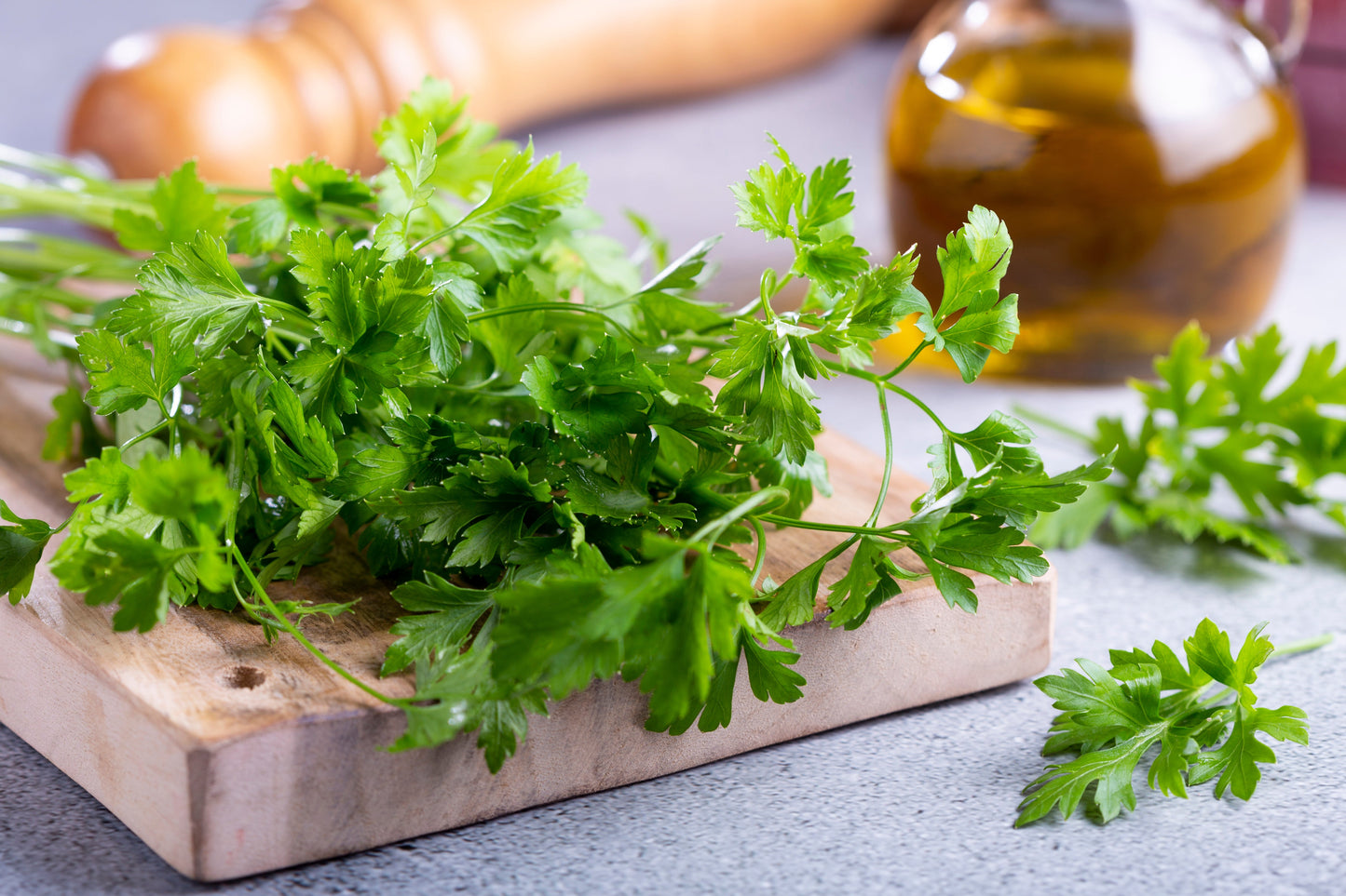 100 Fiesta Green Cilantro / Coriander (Coriandrum Sativum) Seeds