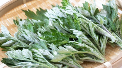1000 Japanese Mugwort (Artemisia Princeps) Seeds
