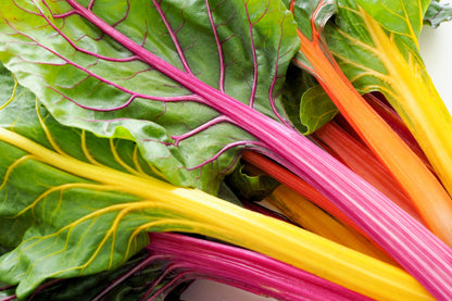 150 Mixed Colors Northern Lights Swiss Chard (Beta Vulgaris Cicla) Seeds