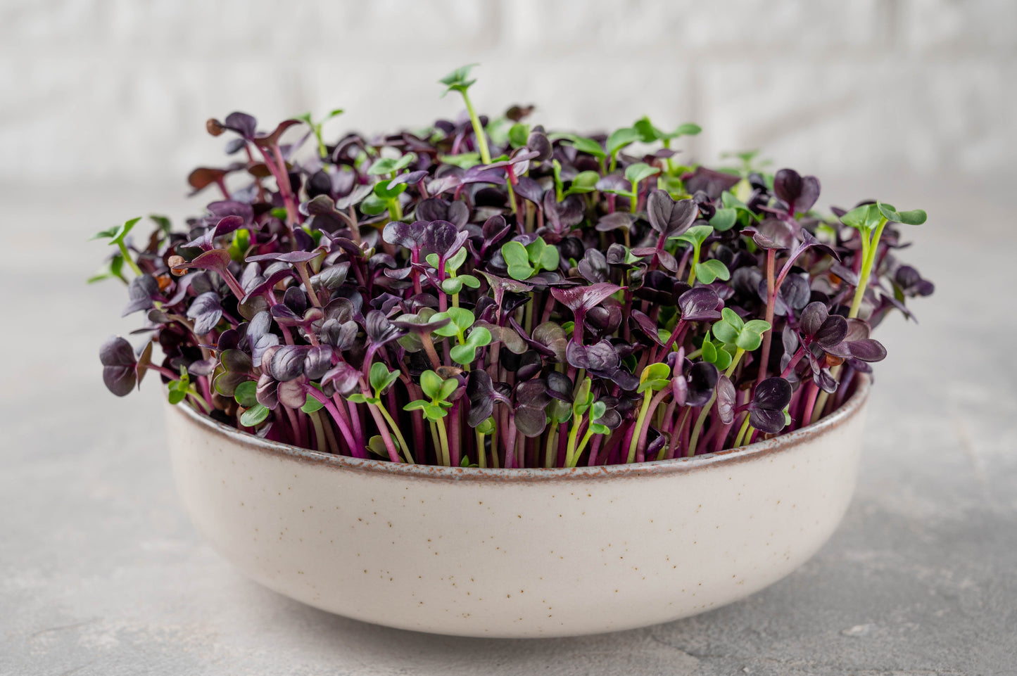 300 Purple Plum Radish (Raphanus Sativus) Seeds