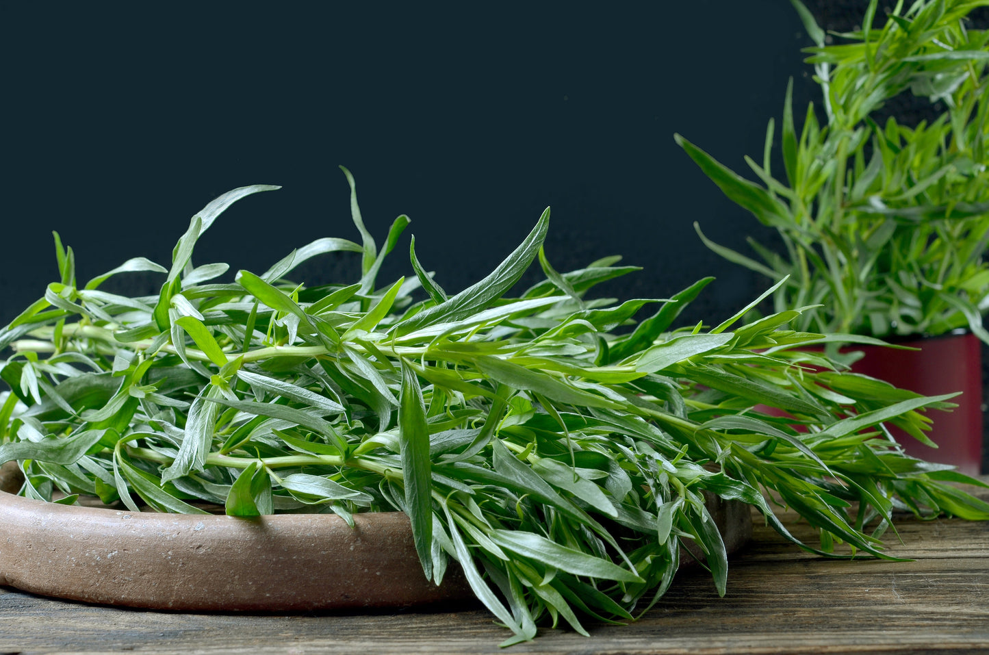 100 Tarragon (Artemisia Dracunculus) Seeds