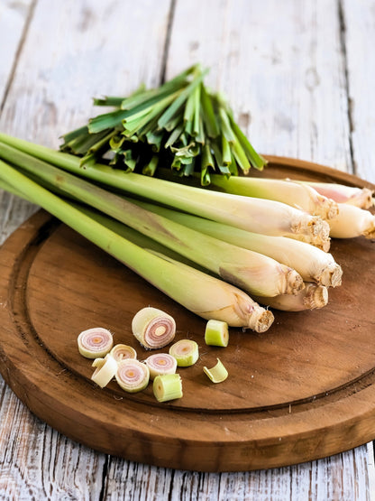 100 LEMONGRASS East Indian Lemon Grass Fragrant Ornamental Edible Cymbopogon Flexuosus Seeds