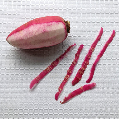 100 China Rose Radish (Raphanus Sativus) Seeds