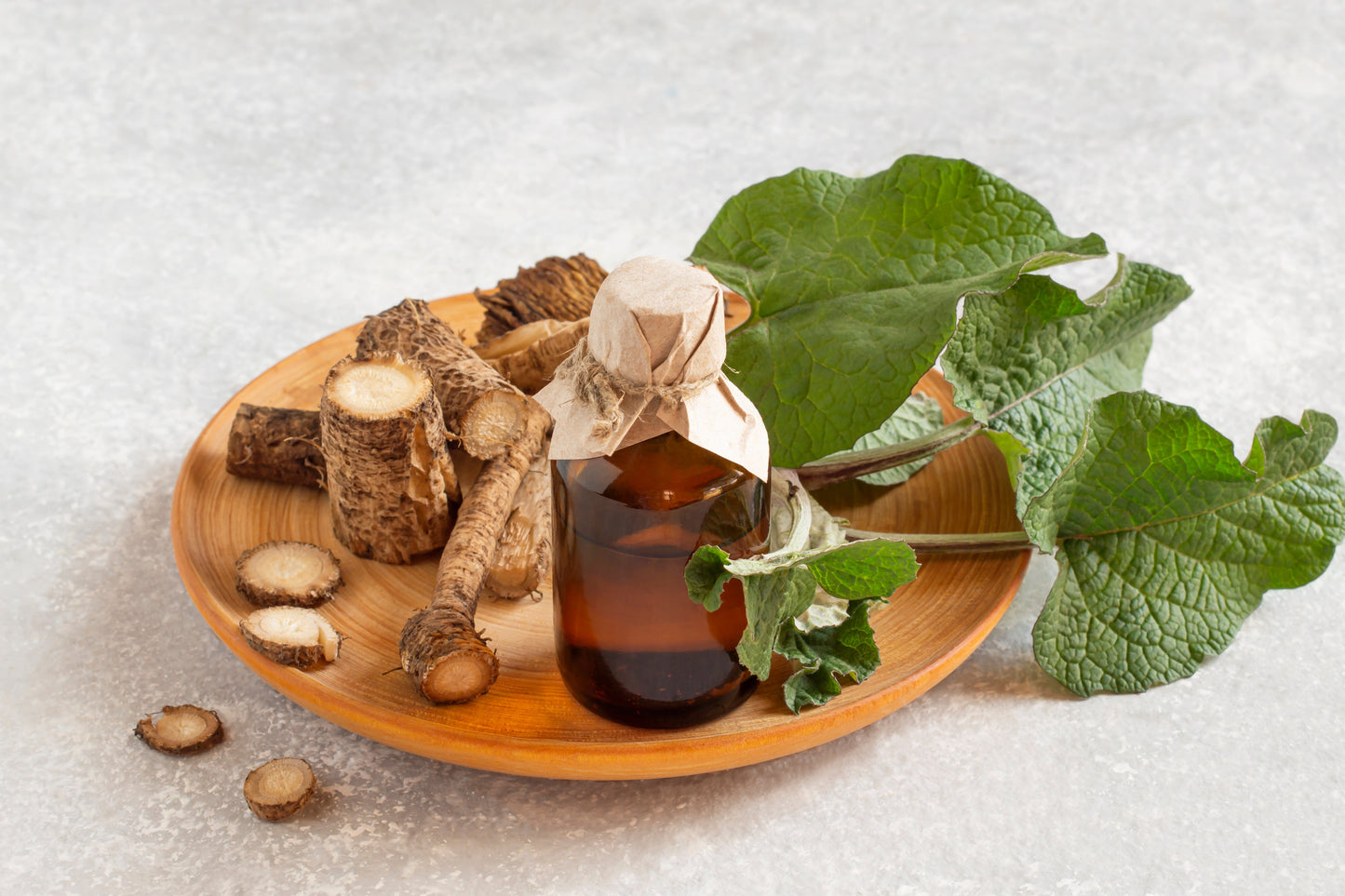 200 Burdock (Arctium Lappa) Seeds