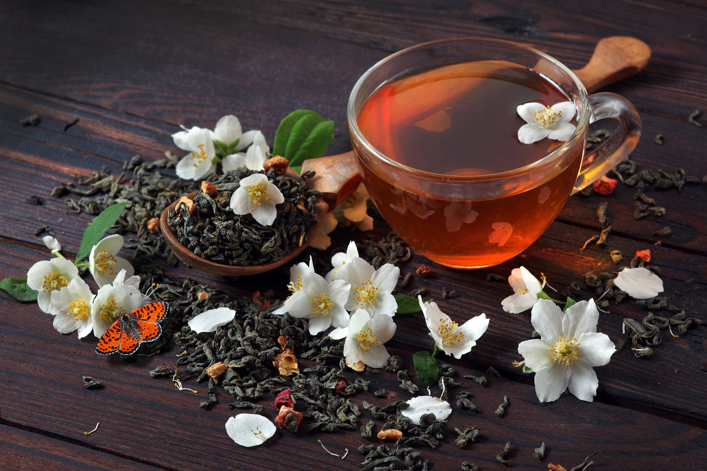 1 Lb Black & Green Drinking Tea (Camellia Sinensis) Seeds