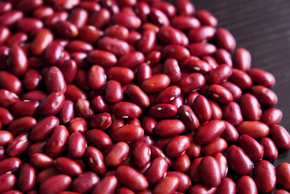 50 Organic  Small Red Bean  (Phaseolus Vulgaris) Seeds