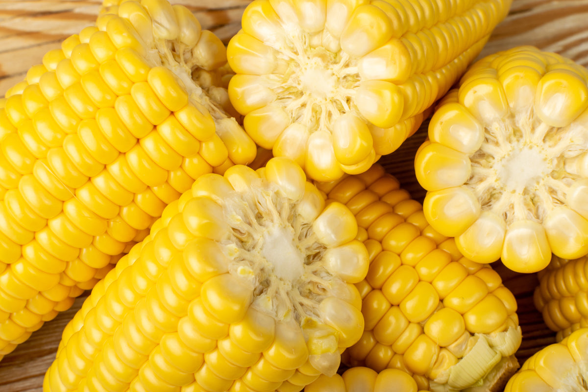 100 IOCHIEF Yellow SWEET CORN Aas Winner Zea Mays Vegetable Seeds