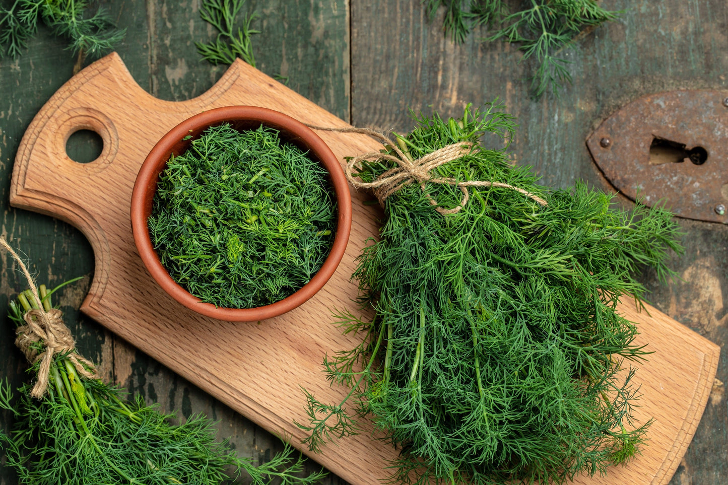 1000 Long Island Mammoth Dill (Anethum Graveolens) Seeds