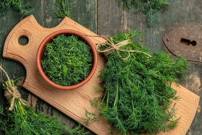 1000 Long Island Mammoth Dill (Anethum Graveolens) Seeds