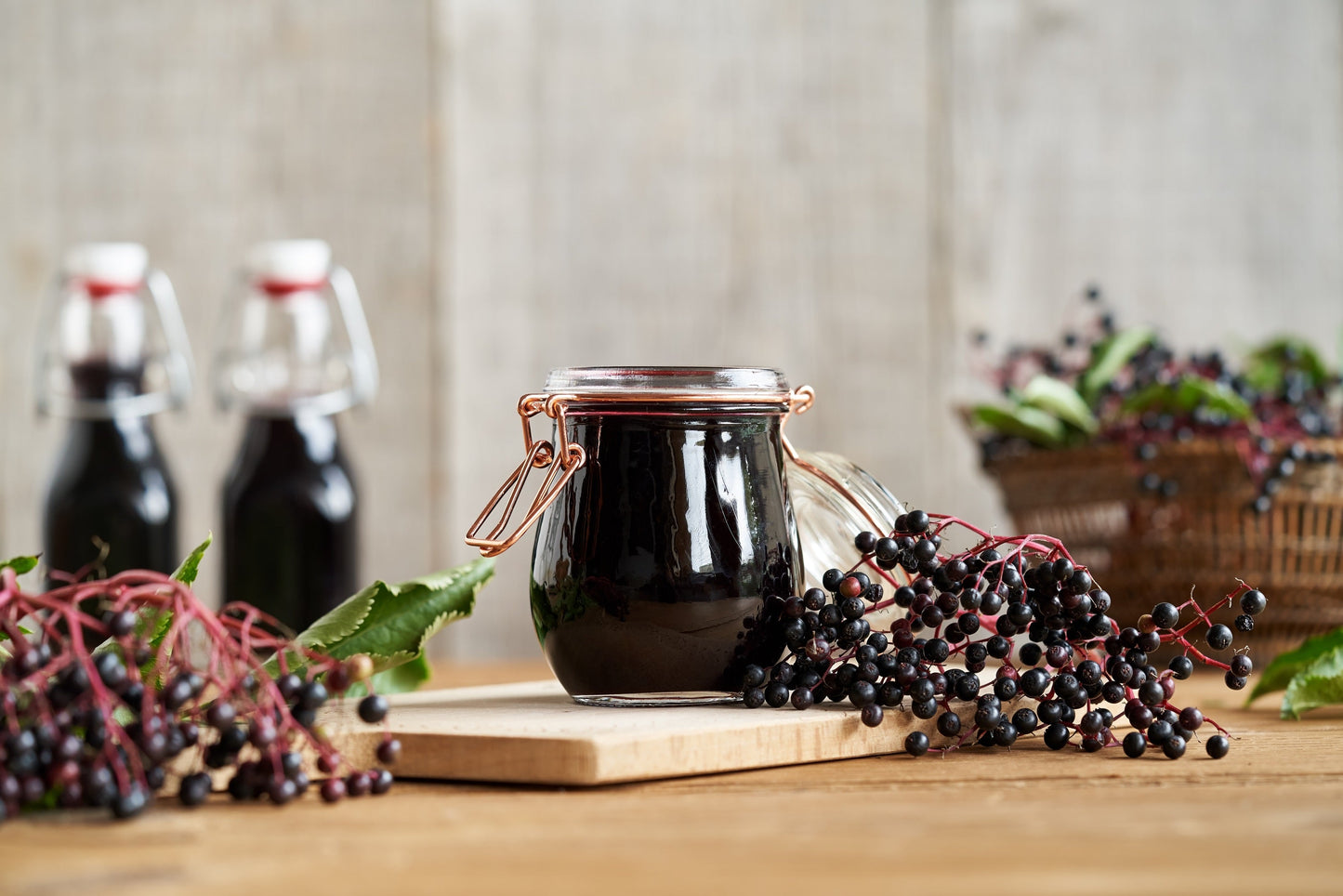 500 American ELDERBERRY (Sambucus Nigra Canadensis) Seeds