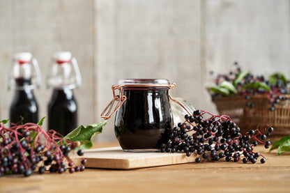 500 American ELDERBERRY (Sambucus Nigra Canadensis) Seeds