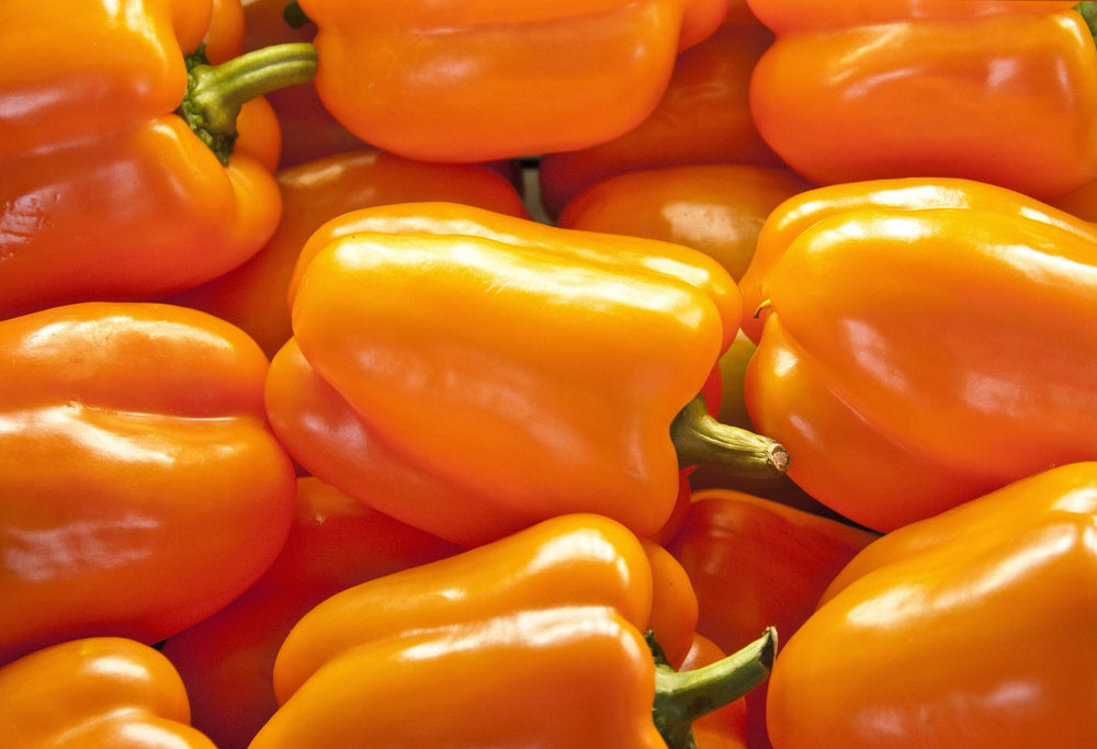 100 Orange King Bell Pepper (Capsicum Annuum) Seeds