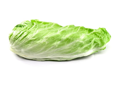 250 SUGAR LOAF ENDIVE Radicchio Escarole Cichorium Intybus Green Vegetable Seeds