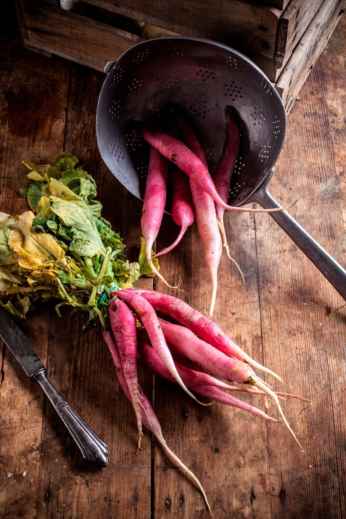 Pink Summersicle Radish (Raphanus sativus) Seeds – 100 ct