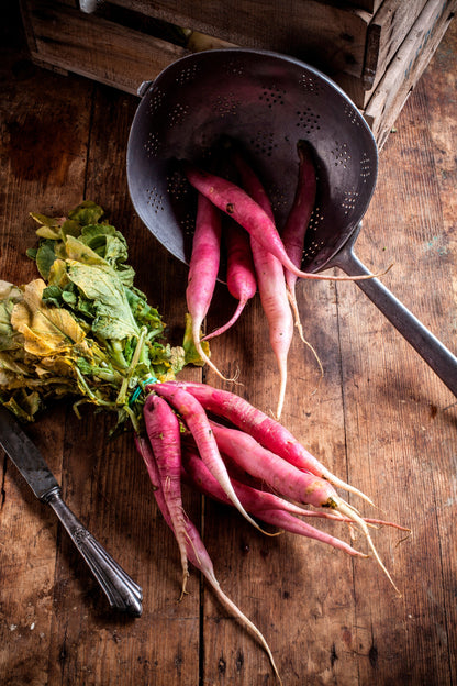 Pink Summersicle Radish (Raphanus sativus) Seeds – 100 ct