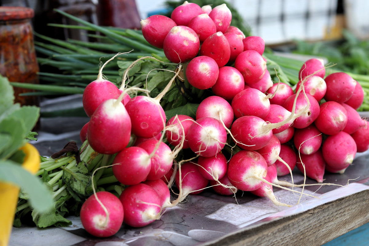 Sparkler White Tip Radish (Raphanus sativus) Seeds – 500 ct