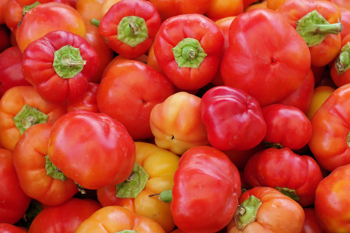 Alma Paprika Pepper (Capsicum annuum) Seeds – 25 ct