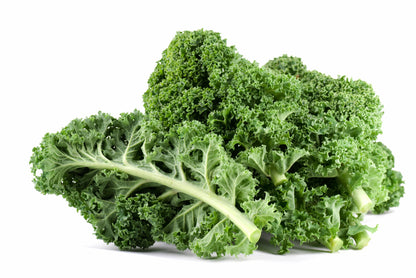 2500 Vates Blue Curled Kale (Brassica Oleracea) Seeds